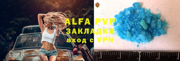 ECSTASY Ладушкин
