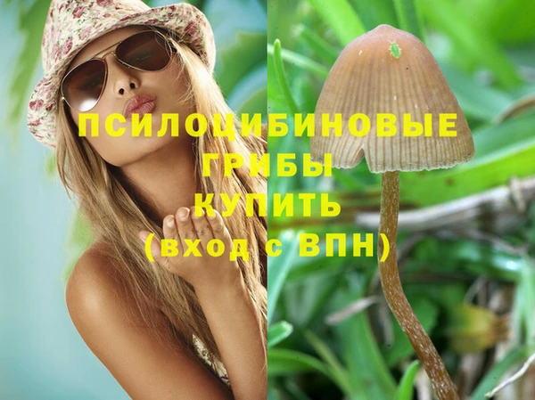 экстази Пересвет
