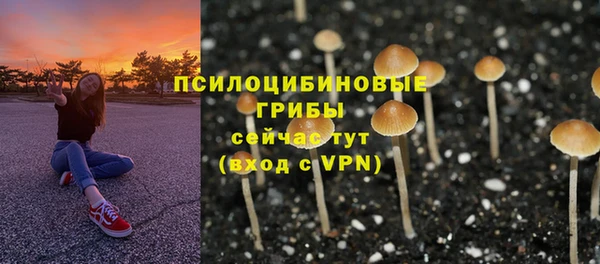 ECSTASY Ладушкин