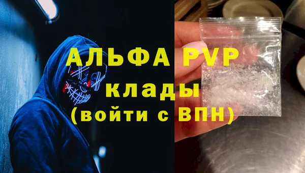 ECSTASY Ладушкин
