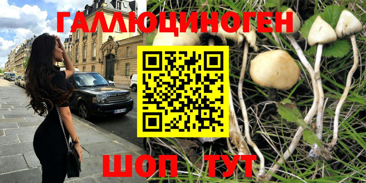 Псилоцибиновые грибы Magic Shrooms  Вход с VPN  Серпухов 